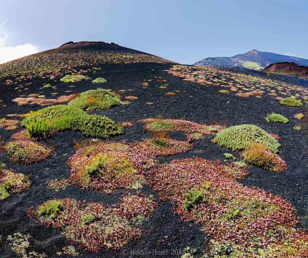 Etna and Taormina private tour