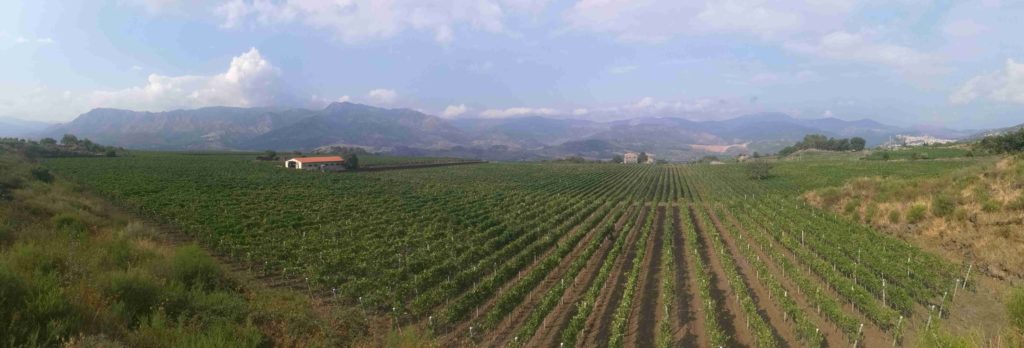Etna And Winery visit