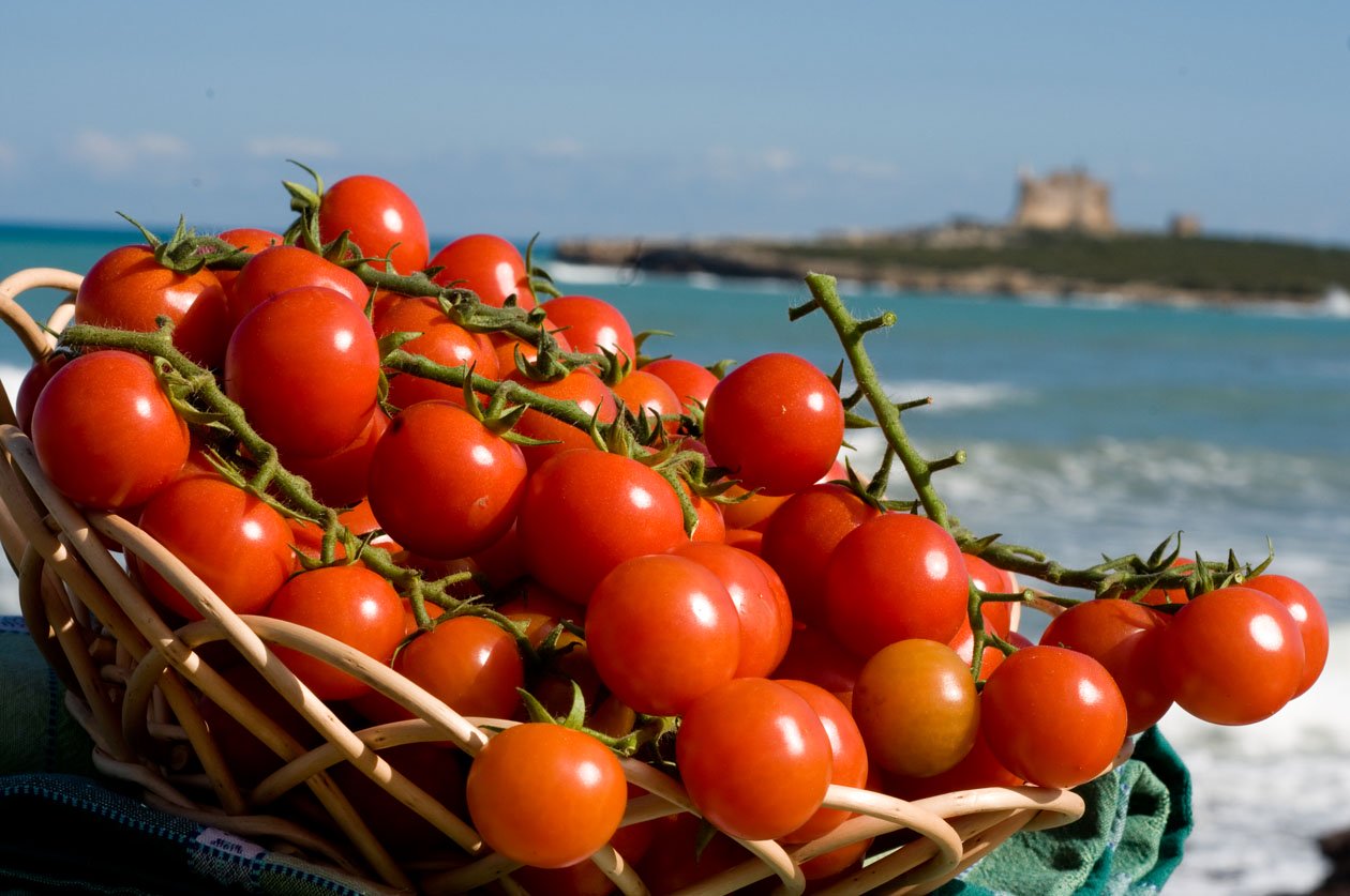 Also known as Ciliegino or cherry tomatoes, are considered the greatest richness of agriculture in Southern Sicily, widely cultivated in the greenhouses..